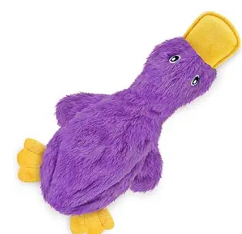 Best Pet Supplies Crinkle Dog Toy for Small, Medium, and Large Breeds,