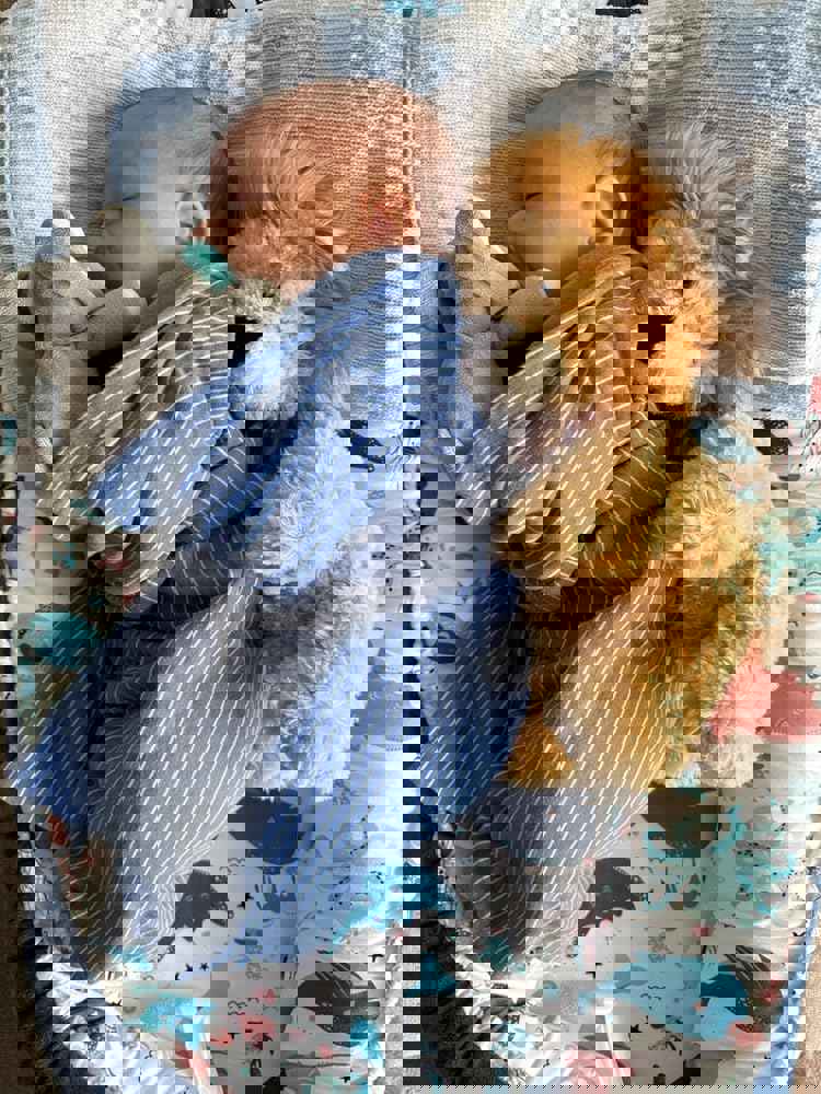 Baby Lounger BL13 Cotton Sky Stars - A Game Changer for New Parents