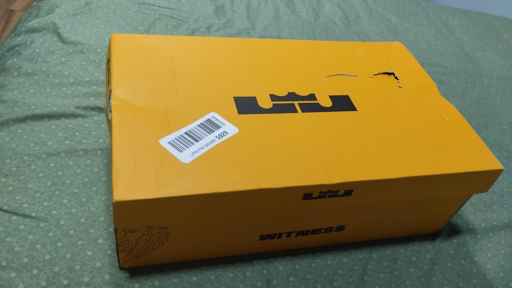 Nike Unisex-Adult Classic Lebron Witness VII