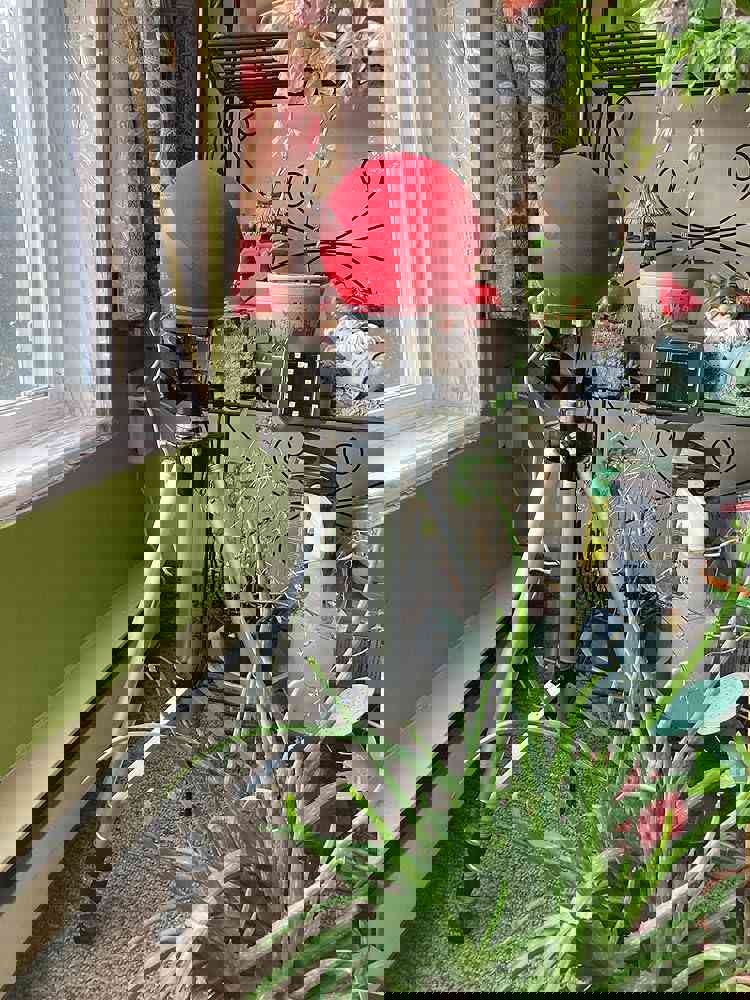 Amazon Echo, an Alexa device (newest model), Smart speaker with premium sound, Ideal for large bedrooms, living rooms and kitchens, Twilight Blue