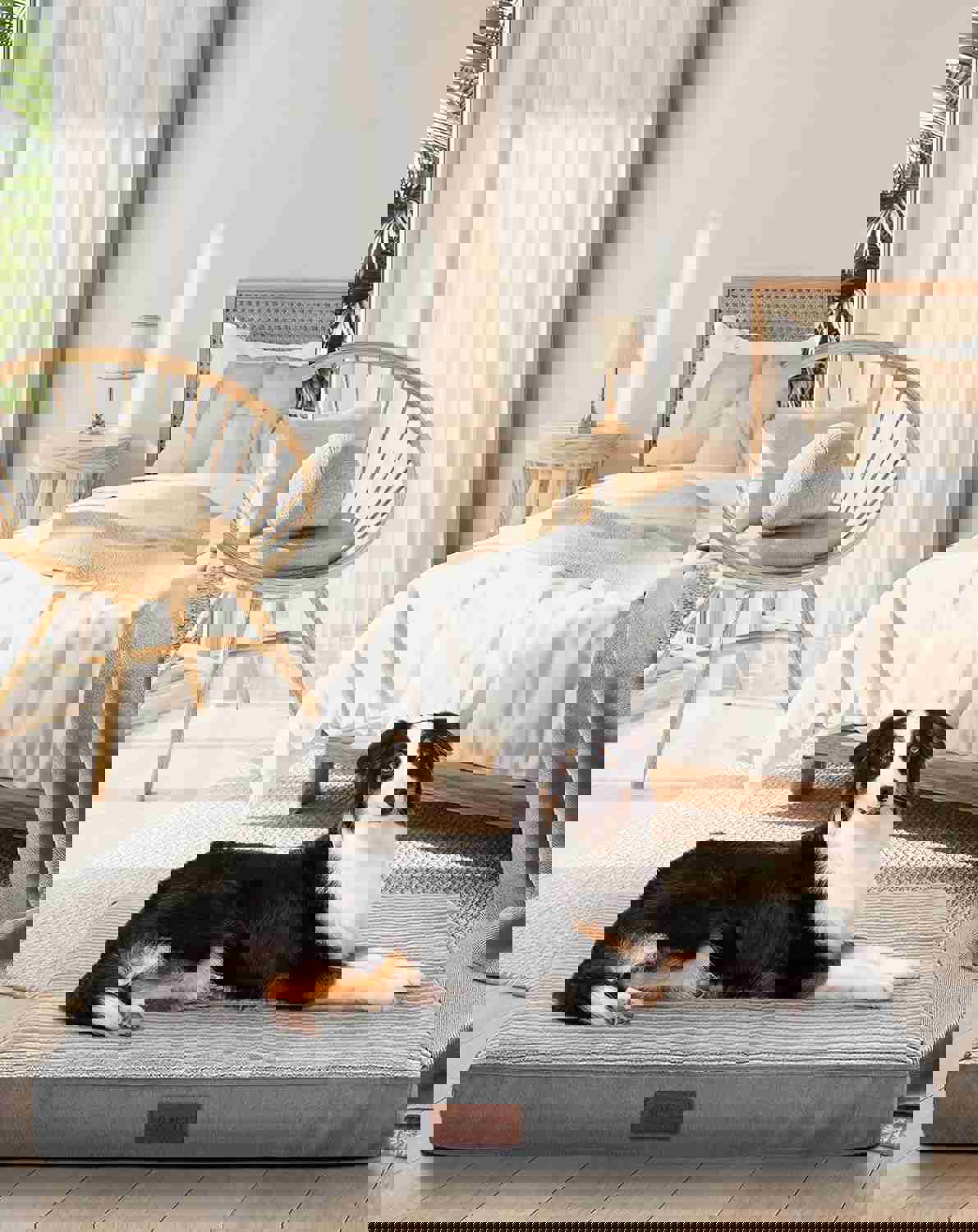 OhGeni 35 Inch Orthopedic Waterproof &amp;amp; Machine Washable Dog Bed for Medium Large Pets, 20D Egg Crate Foam Stable Support, Non-Slip Bottom and Removable Cover, Tear-Resistant Invisible Zipper(Gray)