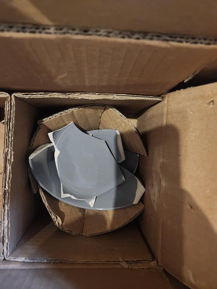 Famiware Milkyway Plates and Bowls Sets, 12 Pieces Dinnerware Sets, Reactive Glaze Dish Set, Stoneware Dishes Set for 4, Matte White