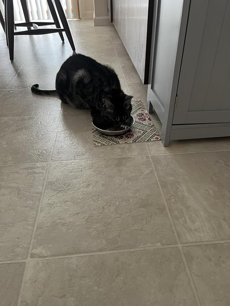 WROSWT Stainless Steel Cat Bowls,Whisker Friendly Shallow Cat Dishes for Food and Water,Non-Slip Silicone Bottom,Heavy Duty,Replacement Kitten Metal Plate for Elevated Stands,3 Pack