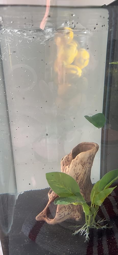 Aqua Natural Betta World - Tutti Frutti 1lb, Gravel/Rocks/Substrate for Fish Tank/Bowl, red, White and Green