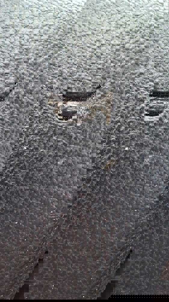 SAMSUNG Galaxy A35 5G: A Mid-Range Marvel with Stellar Features